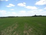 Ильинский район подвел итоги качества проведения весеннего сева в сельских хозяйствах 