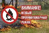 В связи с высокой пожароопасностью ограничено пребывание граждан в лесах и  запрещено разводить костры