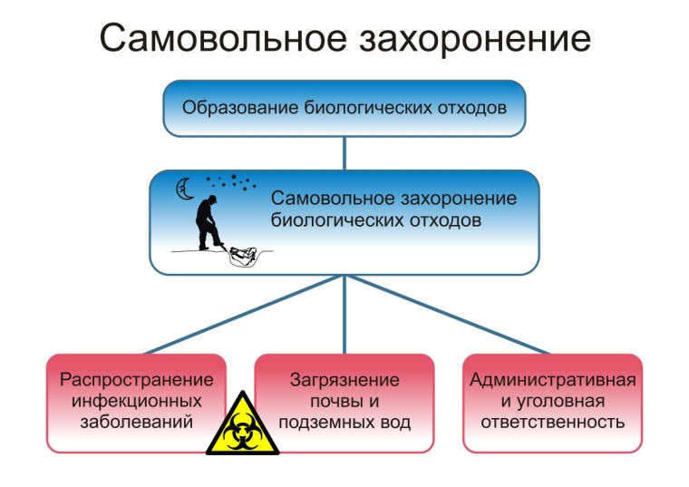 Наглядный материал.jpg Наглядный материал.jpg