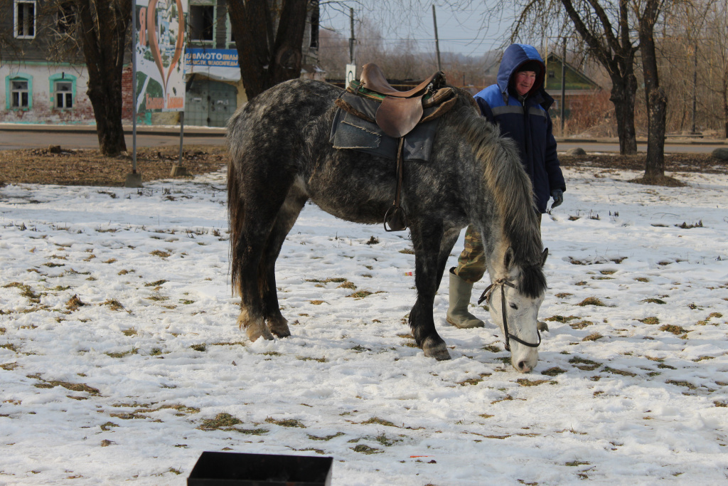 IMG_7890.JPG
